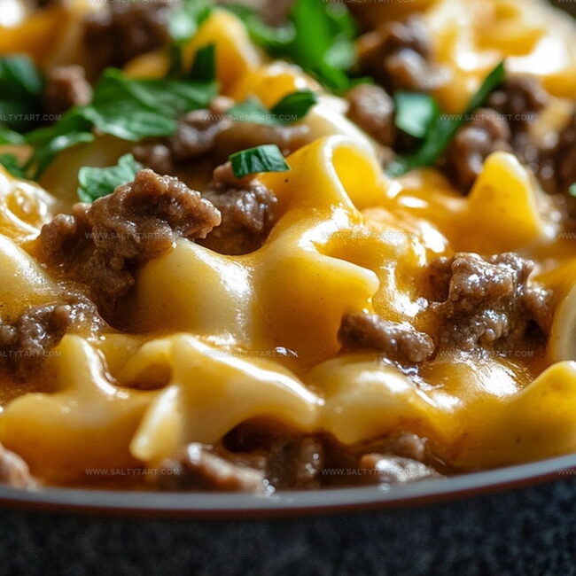 Crockpot Cheesy Beef and Noodles