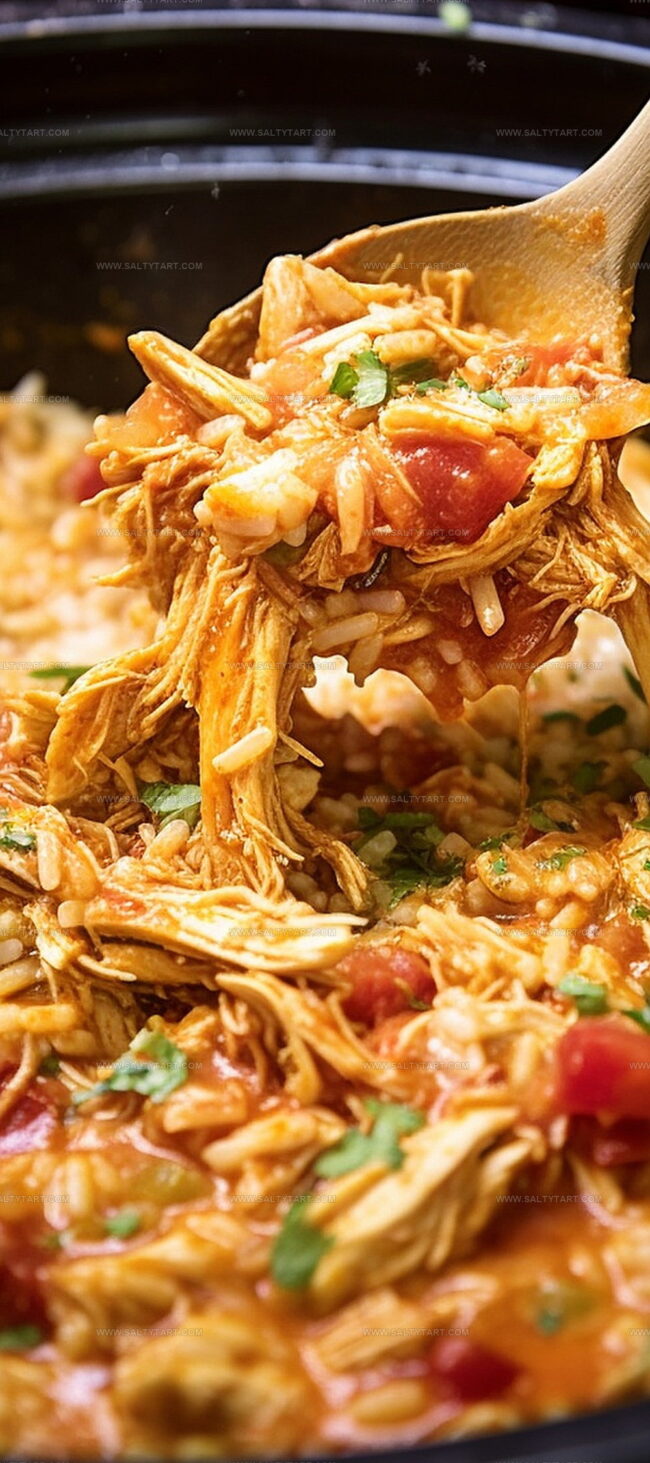 Ingredients for Slow Cooker Taco Chicken & Rice