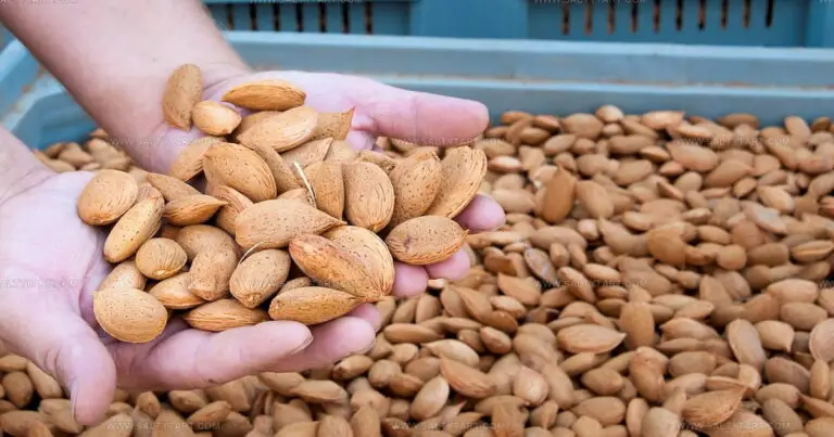 21 Brilliant Italian Nuts Seeds Every Garden Needs