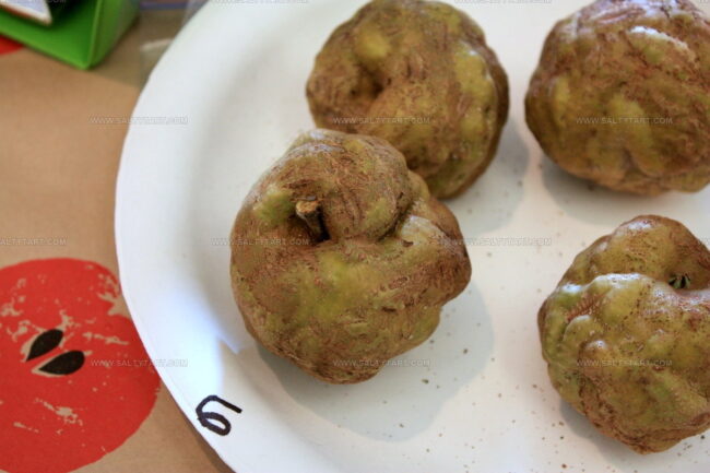 Knobby Russet Apples
