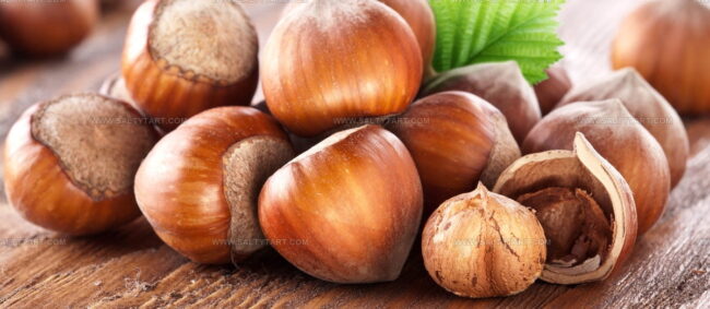 Nocciola Romana
