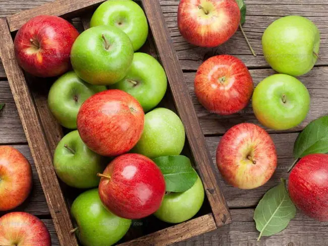 Facts About Apples