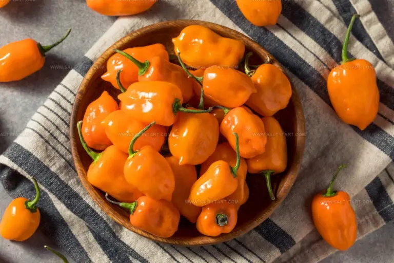 3 Habanero Pepper Alternatives That Still Bring Heat