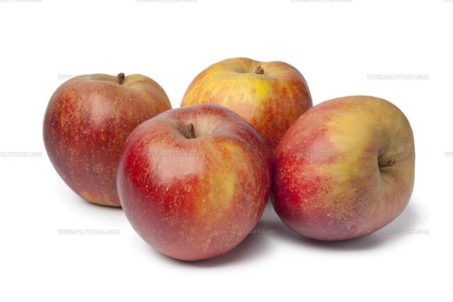 Belle De Boskoop Apples