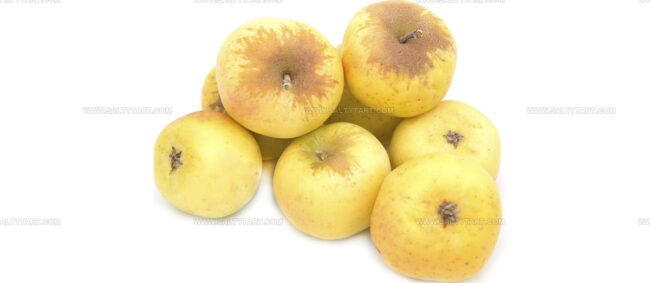 Maca De Portalegre